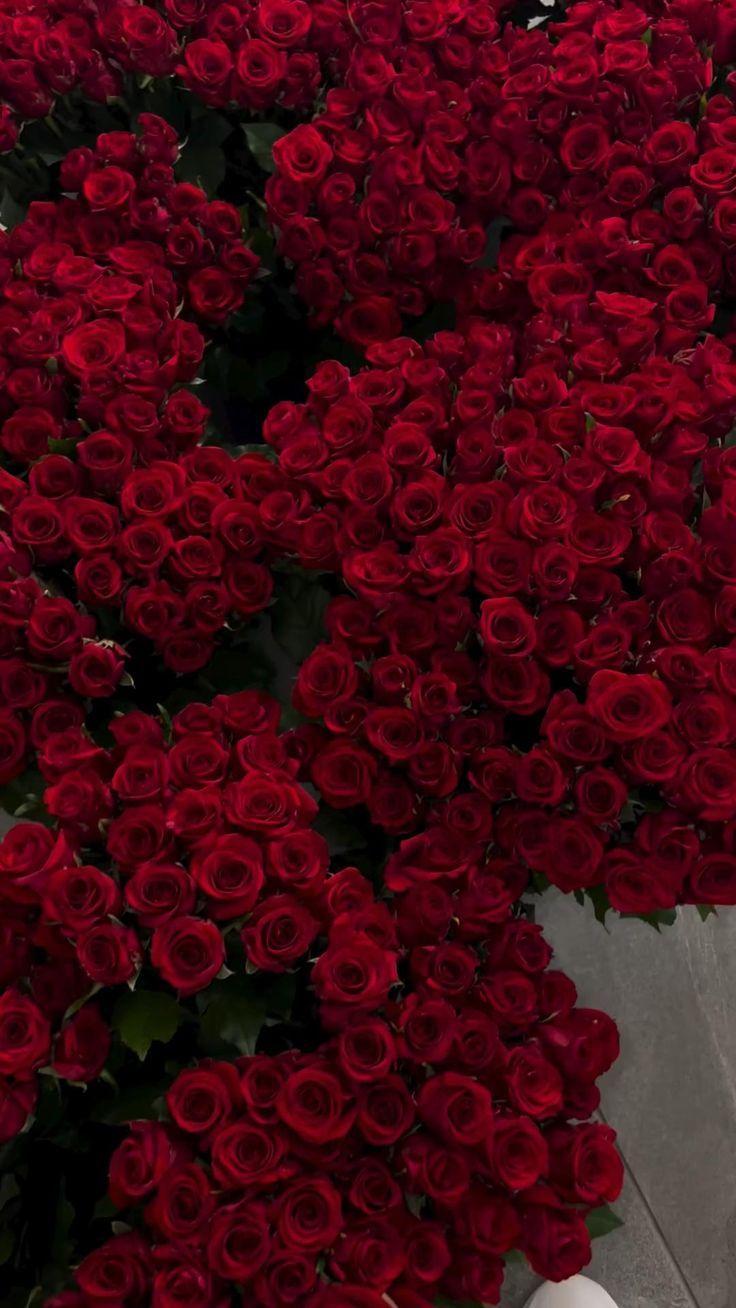 Silver Line Matrix workshop space where corporate flower arrangements are designed and prepared for business delivery